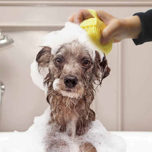 Silicone Pet Grooming Fur Brush – Gentle Daily Brush for Dogs & Cats